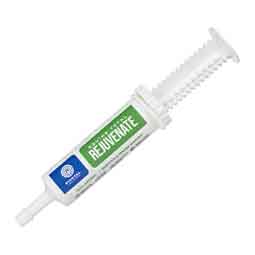 Rejuvenate + Equine Oral Paste  Pivotal Feeds